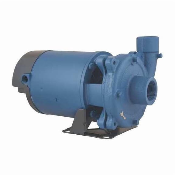 Booster Pump, 1/3 hp, 120/240V AC, 1 Phase, 1-1/2 in NPT Inlet Size, 1 Stage, 27 psi Max Pressure