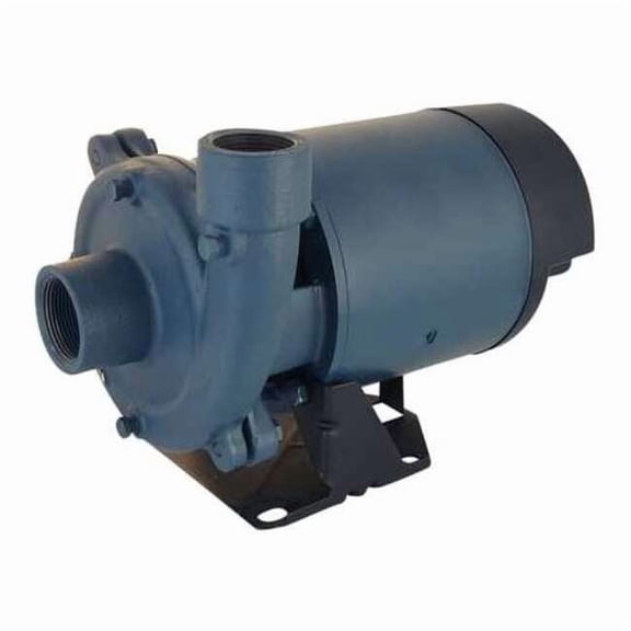 Flint & Walling Booster Pump,3 HP,1 Phase, 230V AC CJ103201