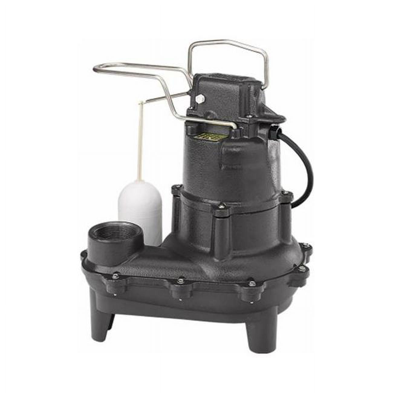 Flint & Walling Star Water 126576 410 HP Cast Iron Pro Submersible
