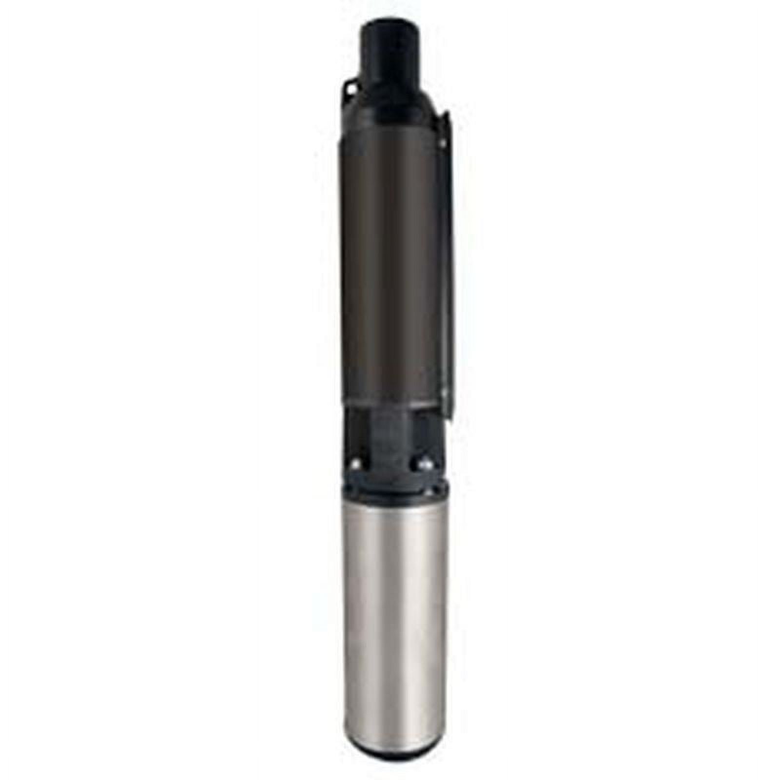 Flint & WallingStar Water 4H10G07301 3 By 4 Hp 4 inch Submersible
