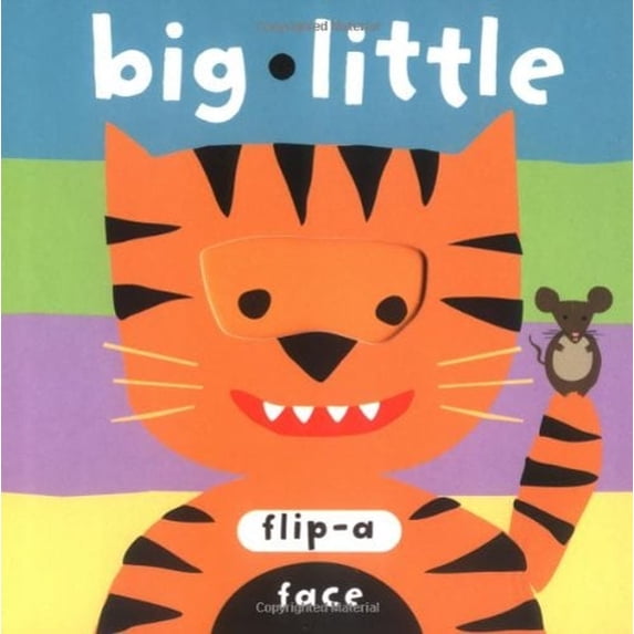Pre-Owned Big Little (Board book) 1593541643 9781593541644