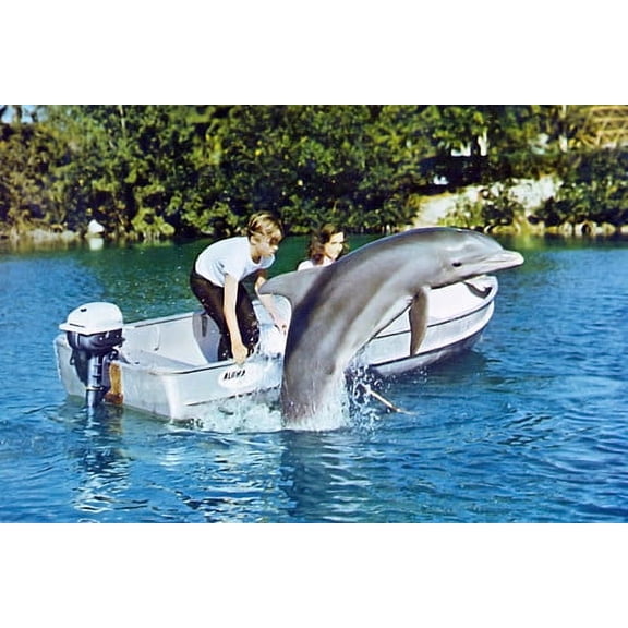 Flipper Dolphin Tv Rare Photo 24x36 Poster