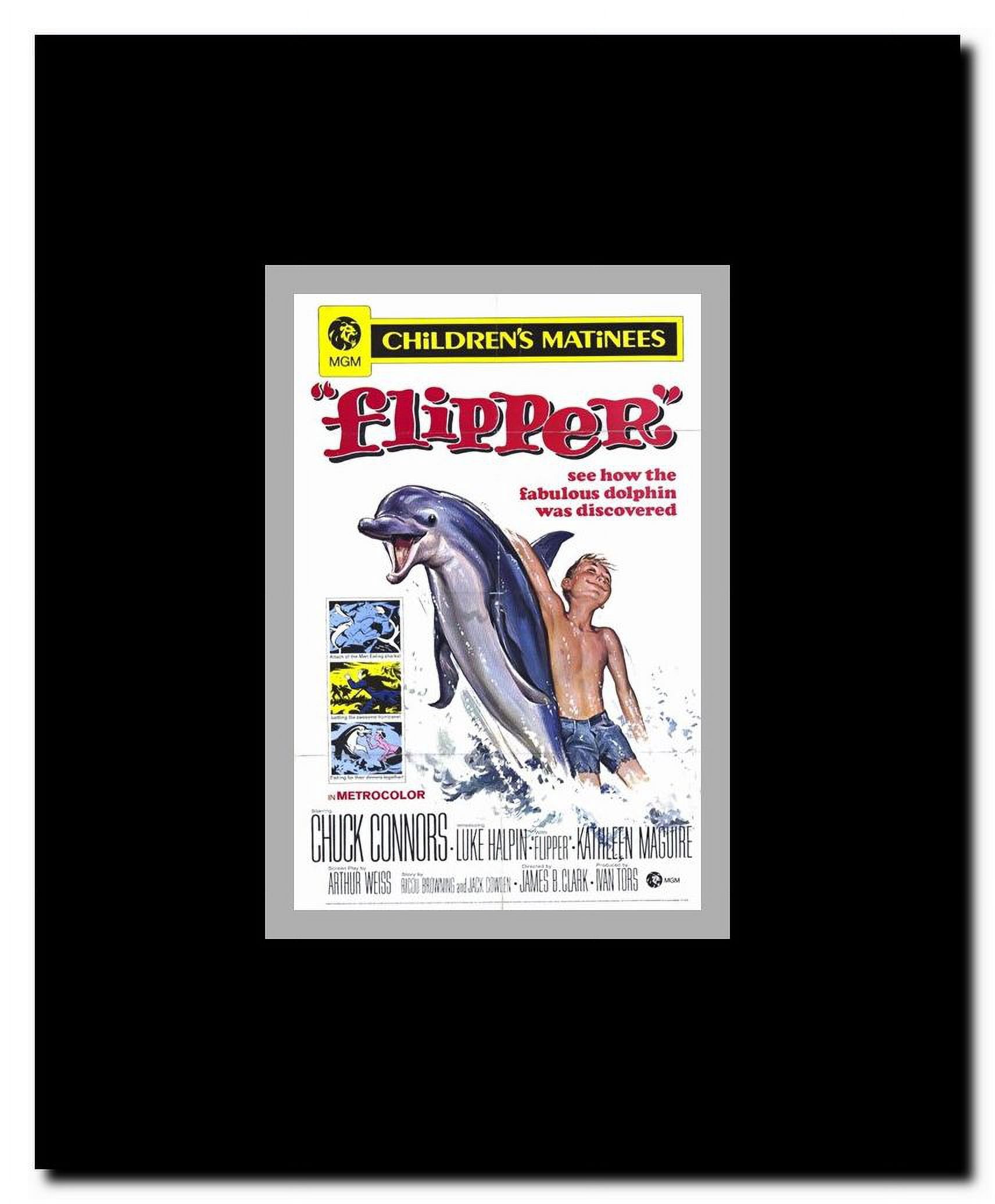 Flipper Framed Movie Poster