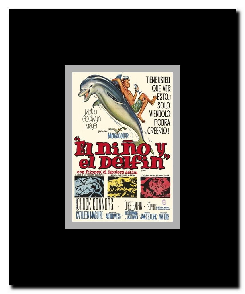 Flipper Framed Movie Poster
