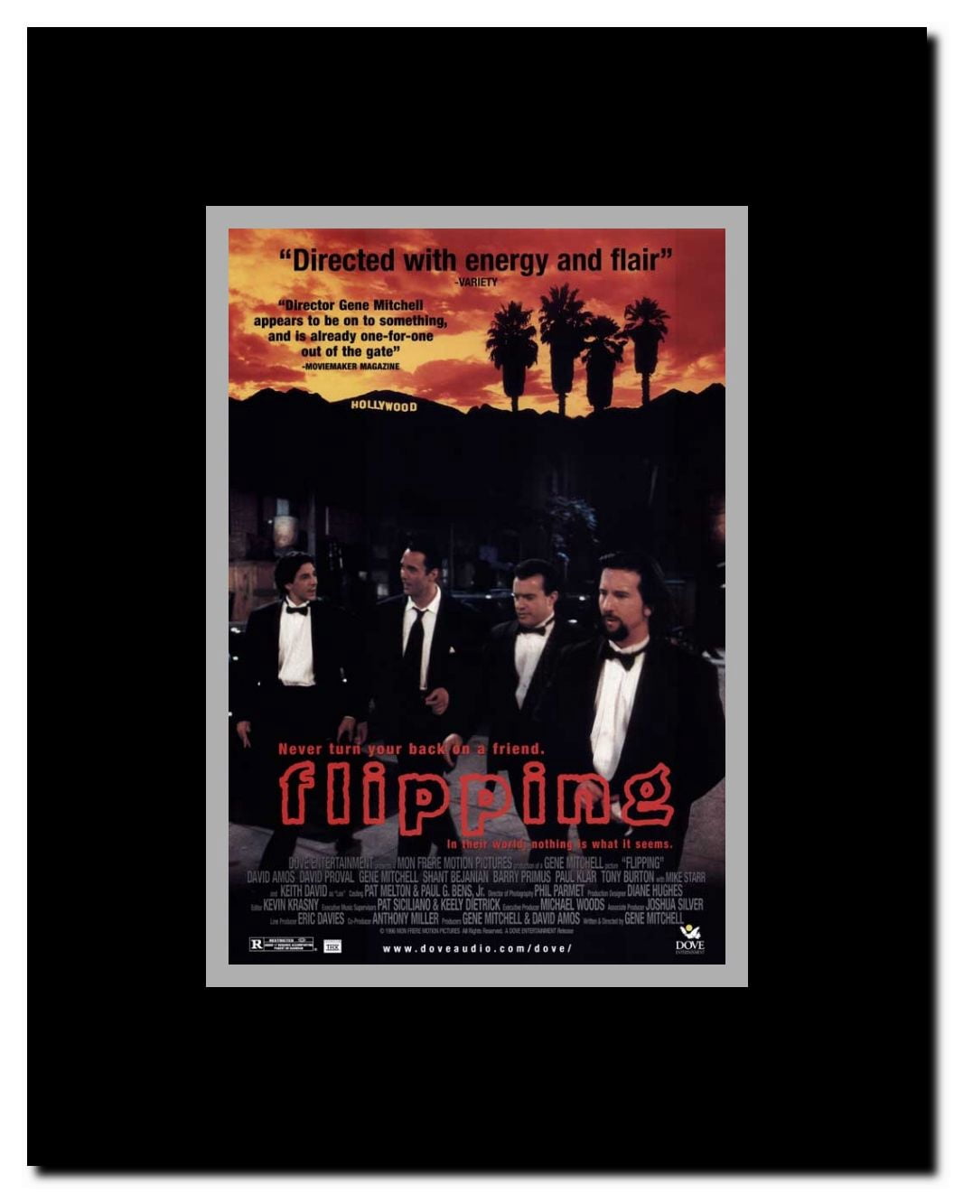 Flipping Framed Movie Poster