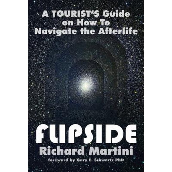 Pre-Owned Flipside : A Tourist's Guide on How to Navigate the Afterlife