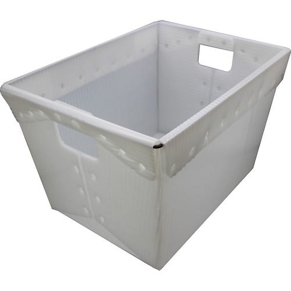Flipside Translucent Plastic Storage Postal Tote - External Dimensions: 13.3