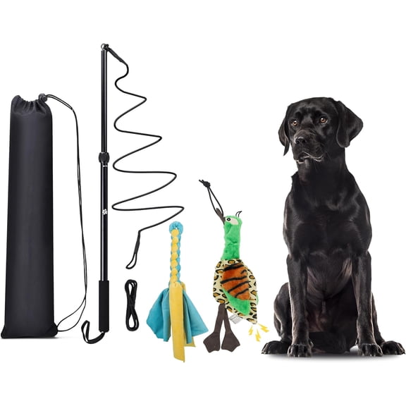 Flirt Pole Dogs, Dog Chase Toy with Squeakers Inside, Dog Fishing Pole Toy for Large Medium Small Dogs to Keep The Puppy Entertained and Physically Exhausted, Rope+Duck