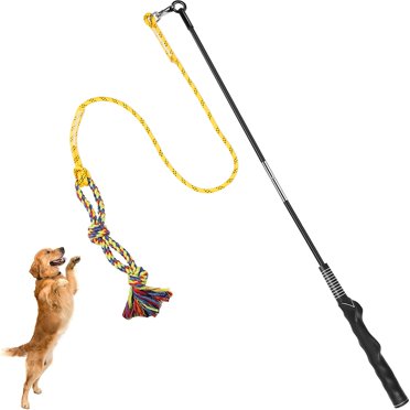 Outdoor Flirt Pole For Dogs - Interactive Chase Toy With Rope, Heavy Duty Teaser Wand For Small Dogs