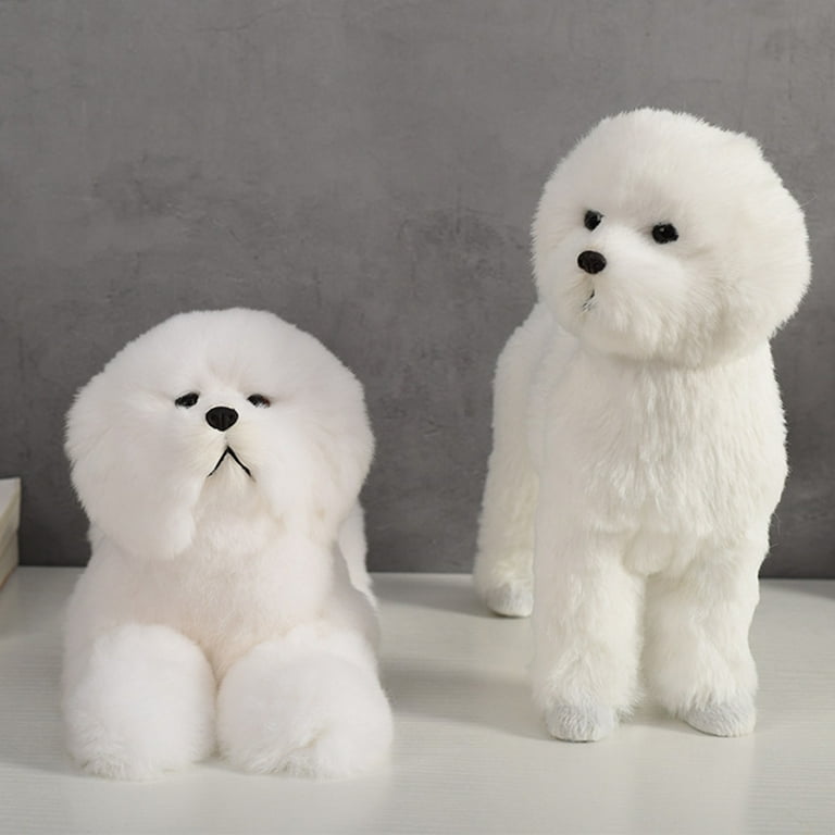 Bichon clearance frise teddy