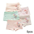 thumbnail image 1 of Flmei 5PCS Girls Cartoon Boxer Brief Printed Underwear for Toddler Kids Colorful Cotton Underpants 2-12 Years Student Shorts Panties for Girls, 1 of 7