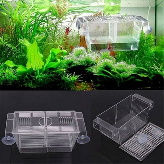 Hevirgo Aquarium Fish Tank Guppy Double Breeding Breeder Rearing Trap Box Hatchery
