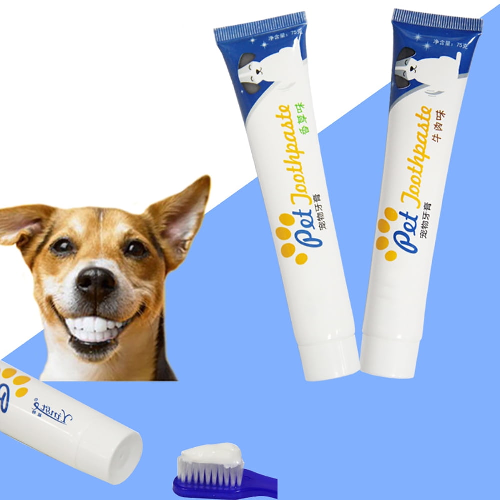 Dog sale edible toothbrush