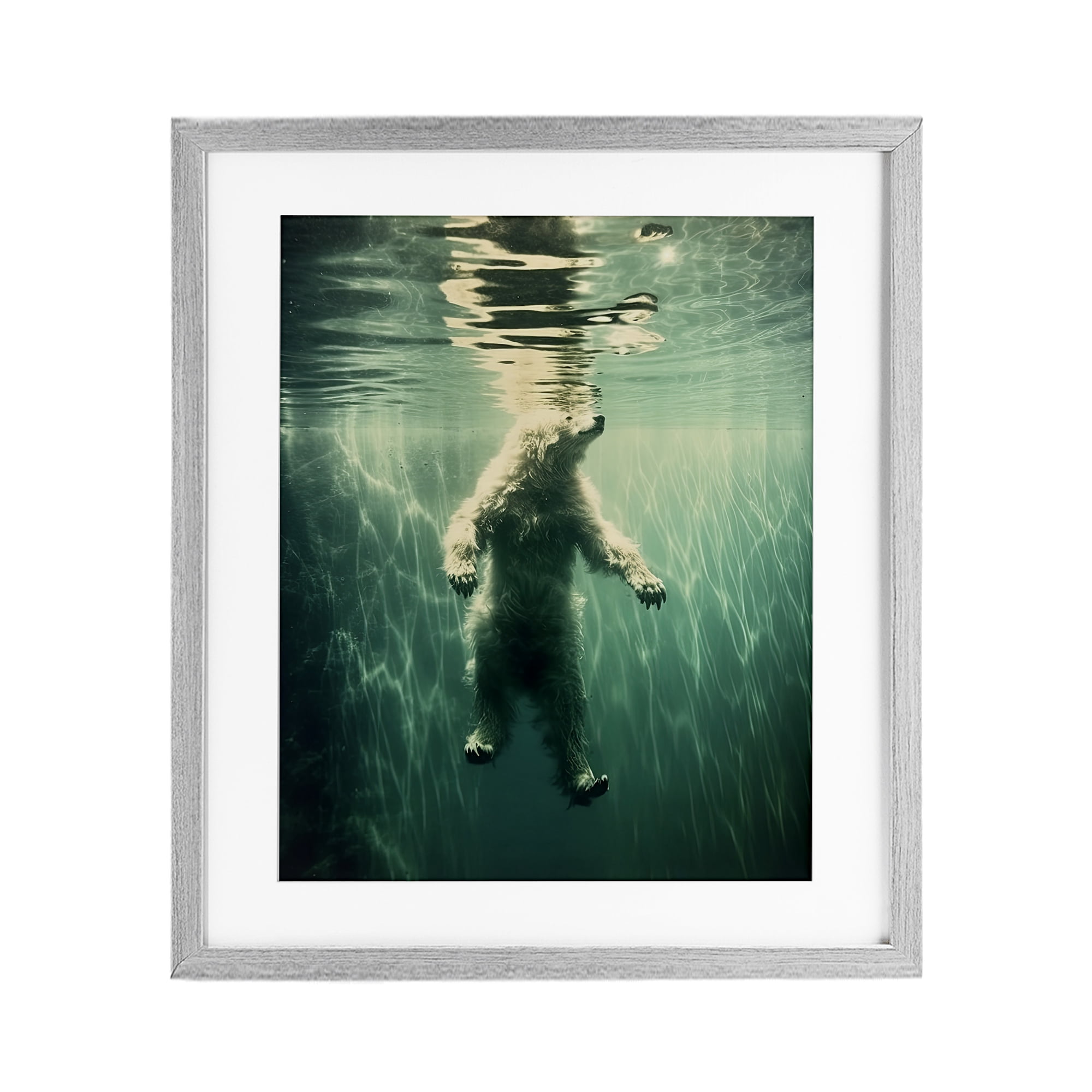 Floating Bear Underwater Gray Framed Print Under Glass, design by Decent Exposures