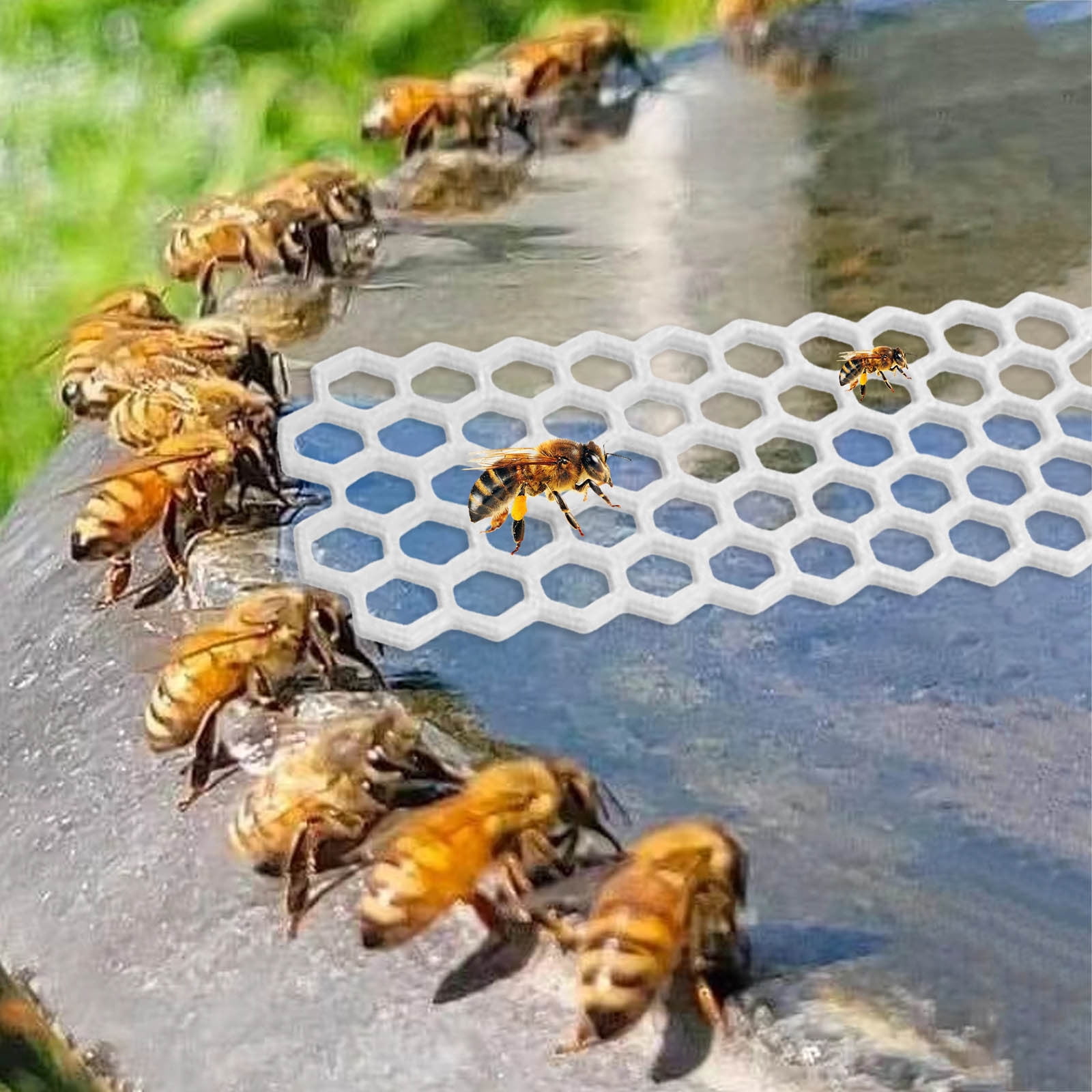 Floating Bee Island 7 Inch Butterfly Watering Station Bee Waterer for ...