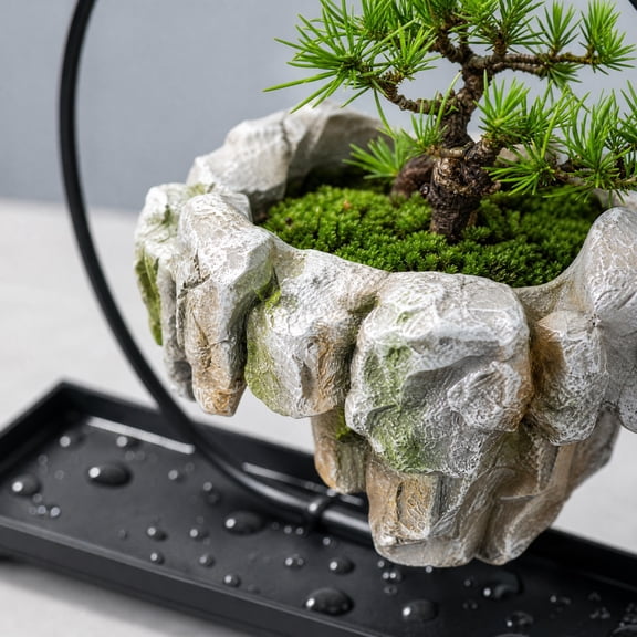 Floating Bonsai Stand Metal Frame Succulent Holder Zen Garden Desktop Decor for Air Plants Cactus Mini Planter Home Office Gift