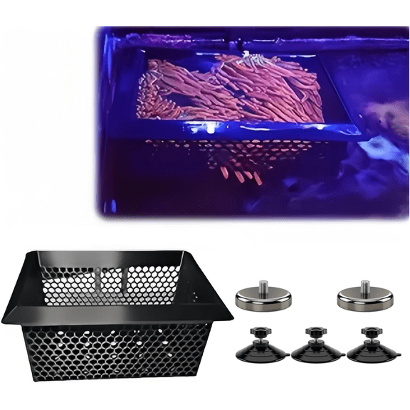 Floating Coral Basket for Reef Tanks (4x6 inch), Anemone Frag Isolator with Removable Magnetic OR Suction Cup Pod, Saltwater Aquarium Safe
