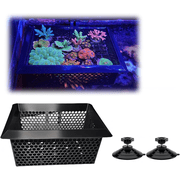 Floating Coral Basket for Reef Tanks 4x6 inch, Anemone and Frag Isolator Cup Mount, Saltwater Aquarium Safe