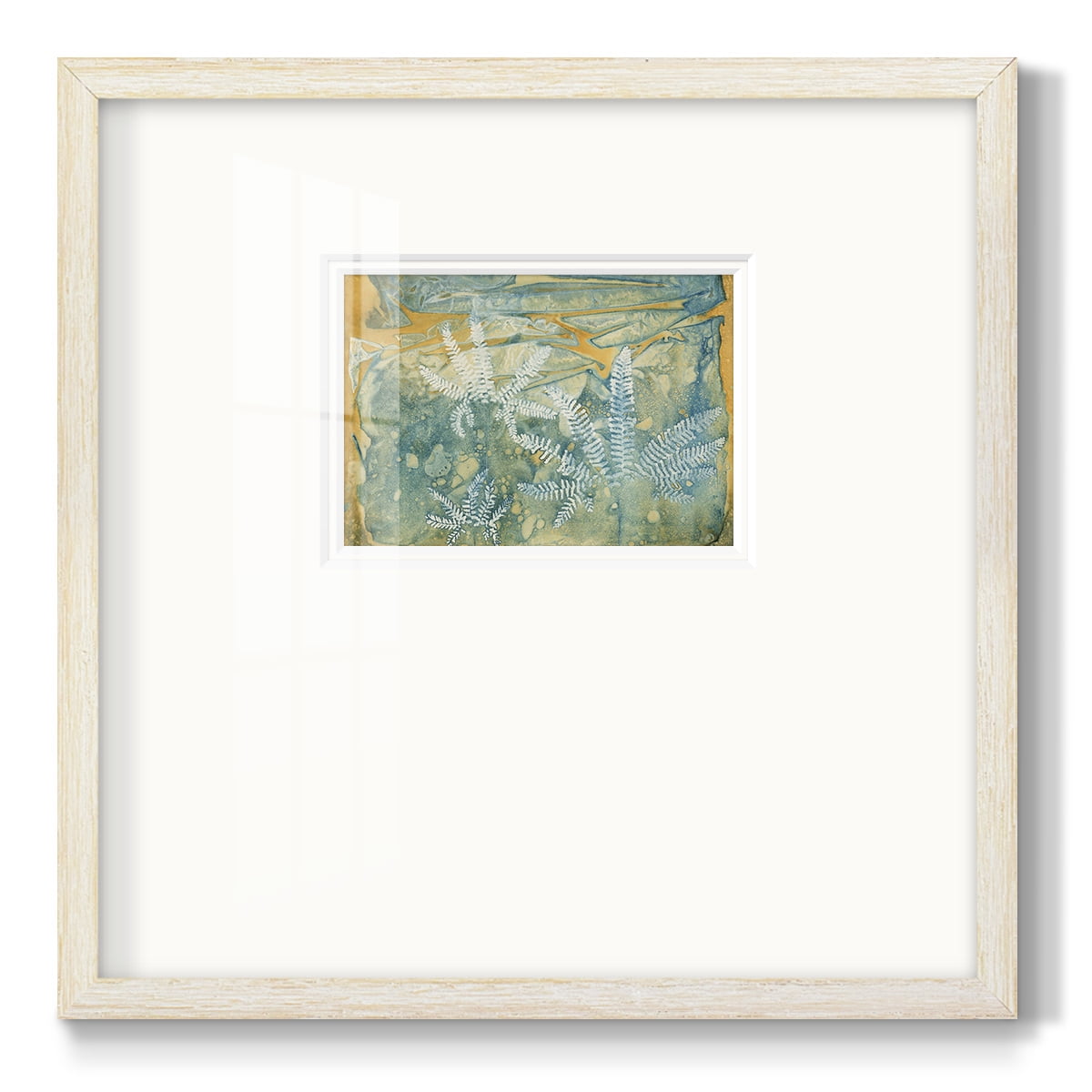 Floating Ferns-Premium Framed Print