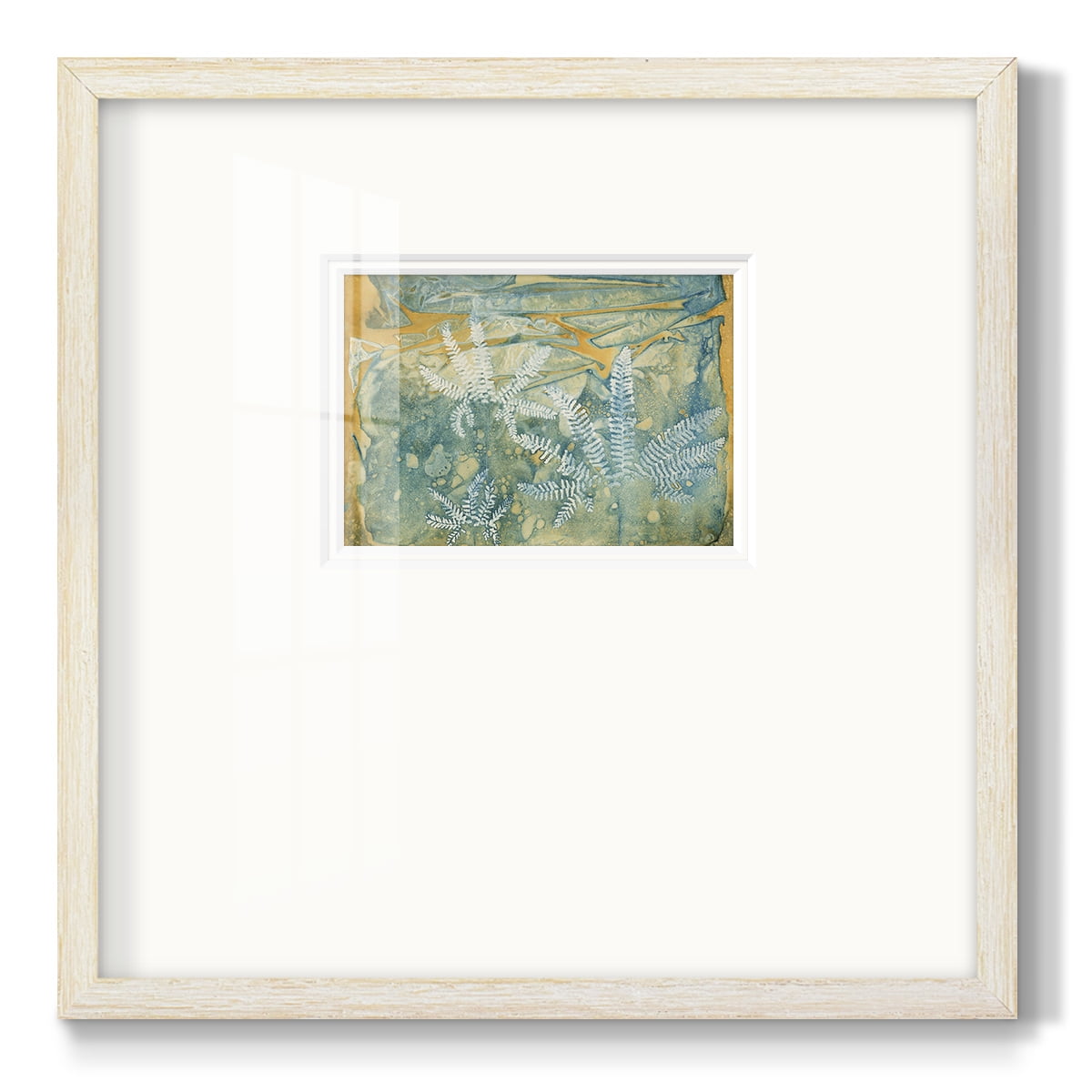 Floating FernsPremium Framed Print