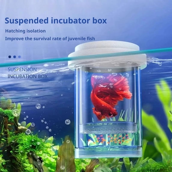 Floating Fish Breeding Isolation Box, Mesh Incubator For Small Fish, Aquarium Use - Blue