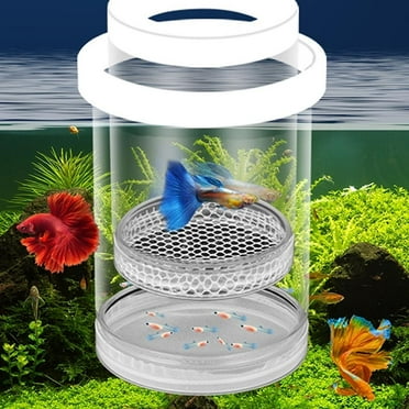Floating Fish Breeding Isolation Box for Aquarium Tank Plastic Mesh Hatchery Incubator Breeder Box for Baby Fish Betta Shrimp Clownfish Guppy