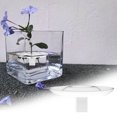 thumbnail image 1 of Floating Flower Arrangement Border Planter Hydroponic Vase • Clear Glass Desktop Flower Holder • Elegant Floating Design for Fresh Floral Displays, 1 of 9