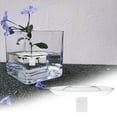 thumbnail image 1 of Floating Flower Vase for Centerpieces with Hydroponic Planter Design, Elegant Floral Arrangement Border for Fresh Cut Flowers, Modern Home Office Table Decor and Wedding Event Decoration, 1 of 9