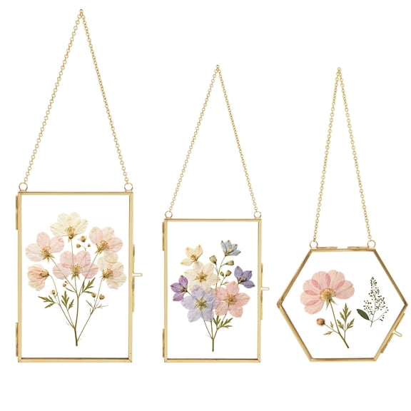 Floating Glass Frame Set with Gold Metal Frame, Pressed Flower DIY Display Frames, Transparent Double Glass Picture Frames for Photos, Art & Home Decor, 3pcs 2 Rectangle + 1 Hexagon