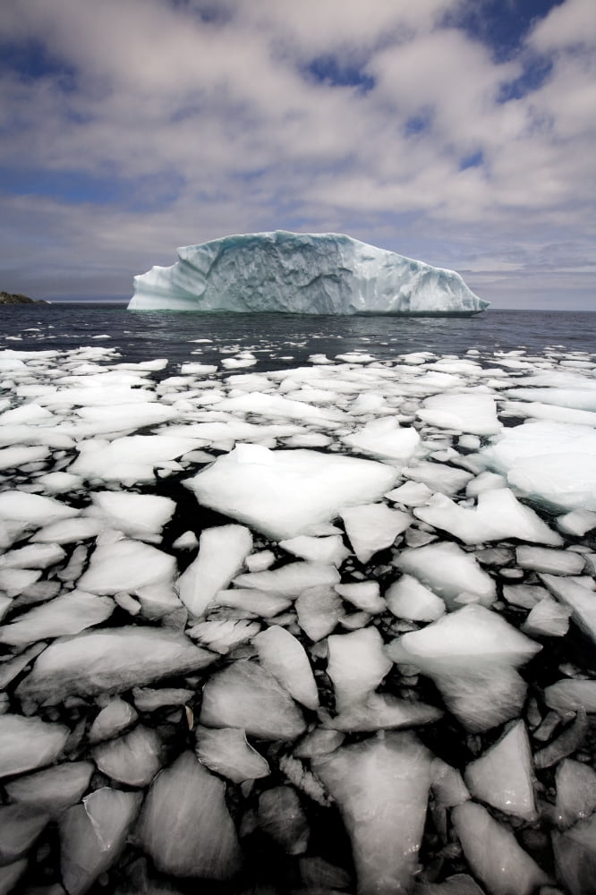 Floating Ice Shattered From Iceberg Quirpon Island Newfoundland & Labrador Canvas Art - John Sylvester Design Pics (22 x 34)