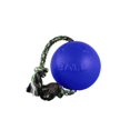 thumbnail image 1 of Floating Interactive Rope Dog Horse Toys Romp and Roll Dog Water Tug (Medium - Blue), 1 of 9