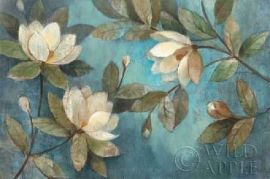 Floating Magnolias Canvas Art - Albena Hristova (24 x 36)