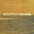 thumbnail image 1 of Floating Orange, 1 of 1