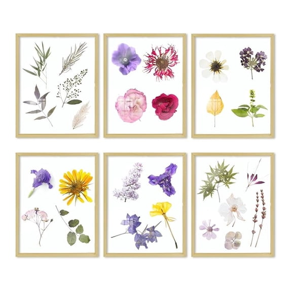 , Floating Picture Frame 11x14 - Metal Photo Frame - Real Glass - for Wall Mount or Displays (6 Pack)