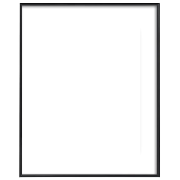 Floating Picture Frame 16x20 Inches, Slide In Photo Frame for 13x19 Pictures, Shatter Resistant Glass, Modern Floating Frames for Wall Display in Living Room, Office, or Gallery, Black