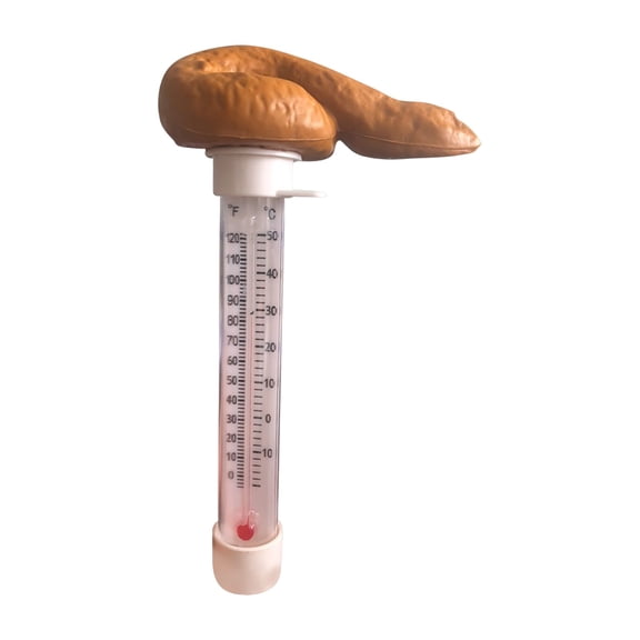 Floating Pool Water Thermometer Cute Design Swimming Pool Hot Tub Pond Temperature Gauge, Easy-Read Display Summer Outdoor Backyard Maintenance Accessory