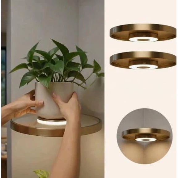 Floating Shelf With LED Light Floating Plant Shelves Wall Mounted Display Rack For Home Decor