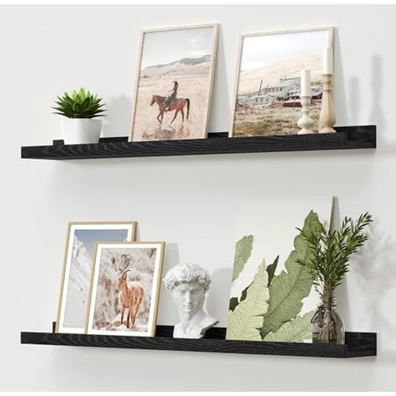 Floating Shelves Wall Mounted Set of 2, Modern Black Wall Shelves for Storage with Lip, Display Picture Ledge Shelf for Bedroom Kitchen Bathroom Living Room Nursery Display