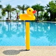thumbnail image 1 of Floating Thermometer For Swimming Pool Pond Hot Tub Water Duck Turtle Whale Fish, 1 of 6