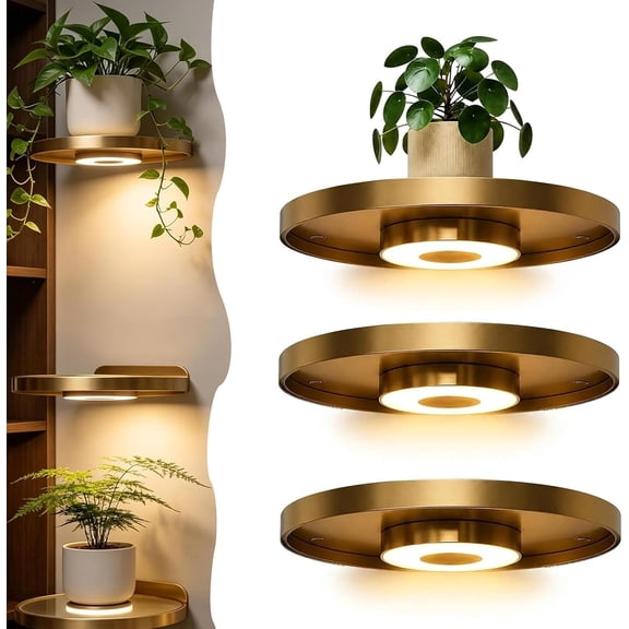 Floating Wall Shelf with Built-in Ambient LED Light
Floating Corner Shelves With Lights, Invisible Lighted Shelves,Plant Display Rack, Space-Saving, Elevate Space With Elegance