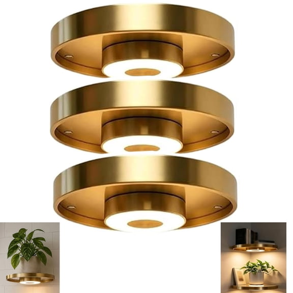 Floating Wall Shelf with Built-in Ambient LED Light, LED Metallic Texture Floating Shelves, Invisible Bracket Hanging Display Rack for Home, Bedroom, Living Room Decor