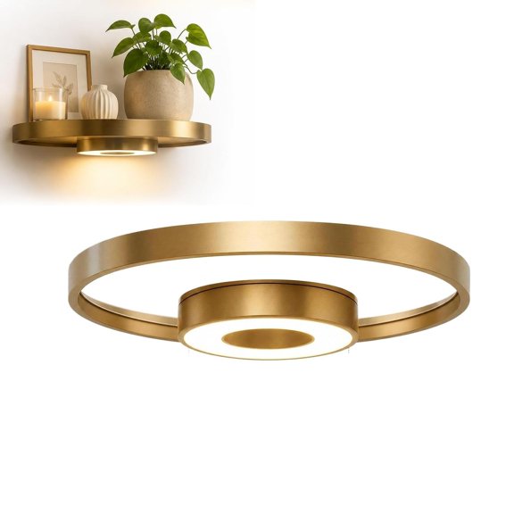 Floating Wall Shelf with Built-in Ambient LED Light, Round Floating Plant Shelf with Invisible Brackets, Modern Wall Mounted Display Rack for Living Room Bedroom Home Decor