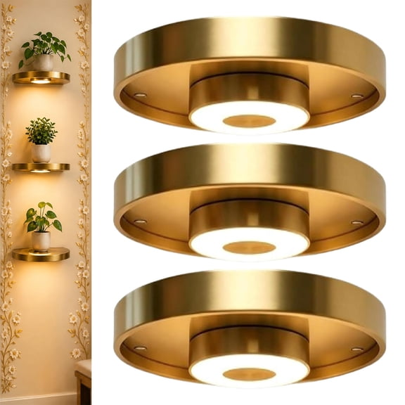 Floating Wall Shelf with Built-in Ambient LED Light Wall Mounted Shelves Hanging Display Rack Shelf with Invisible Brackets Warm Glow Plant Holder Elevate Space-Saving Home Decor