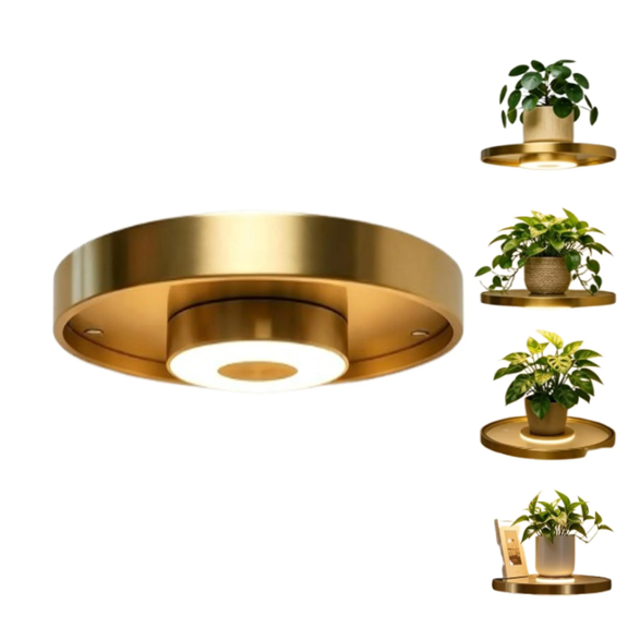 Floating Wall Shelf with Built-in Ambient LED Light, Illuminated Display Rack for Books, Plants, & Gaming Gear