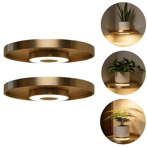Floating Wall Shelf with Built-in Ambient LED Light, Metal RGB Light Floating Rack, Hidden Mount Design for Decor Plant Ornament Placement (2PC)