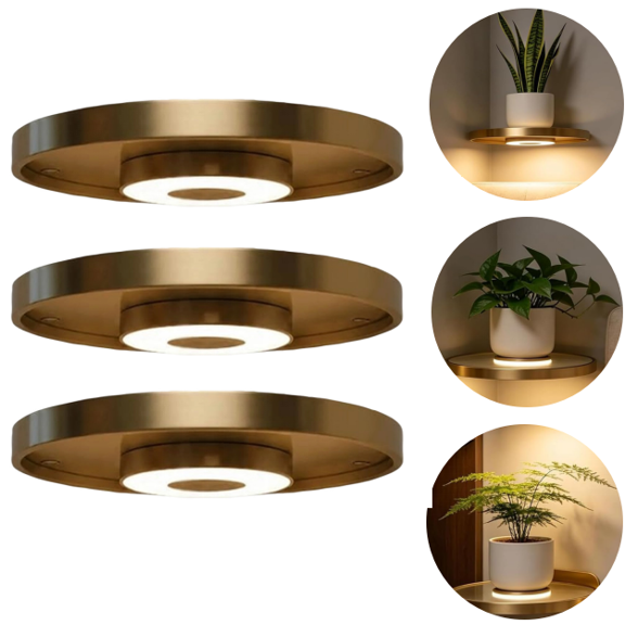 Floating Wall Shelf with Built-in Ambient LED Light, Metal RGB Light Floating Rack, Hidden Mount Design for Decor Plant Ornament Placement (3PC)