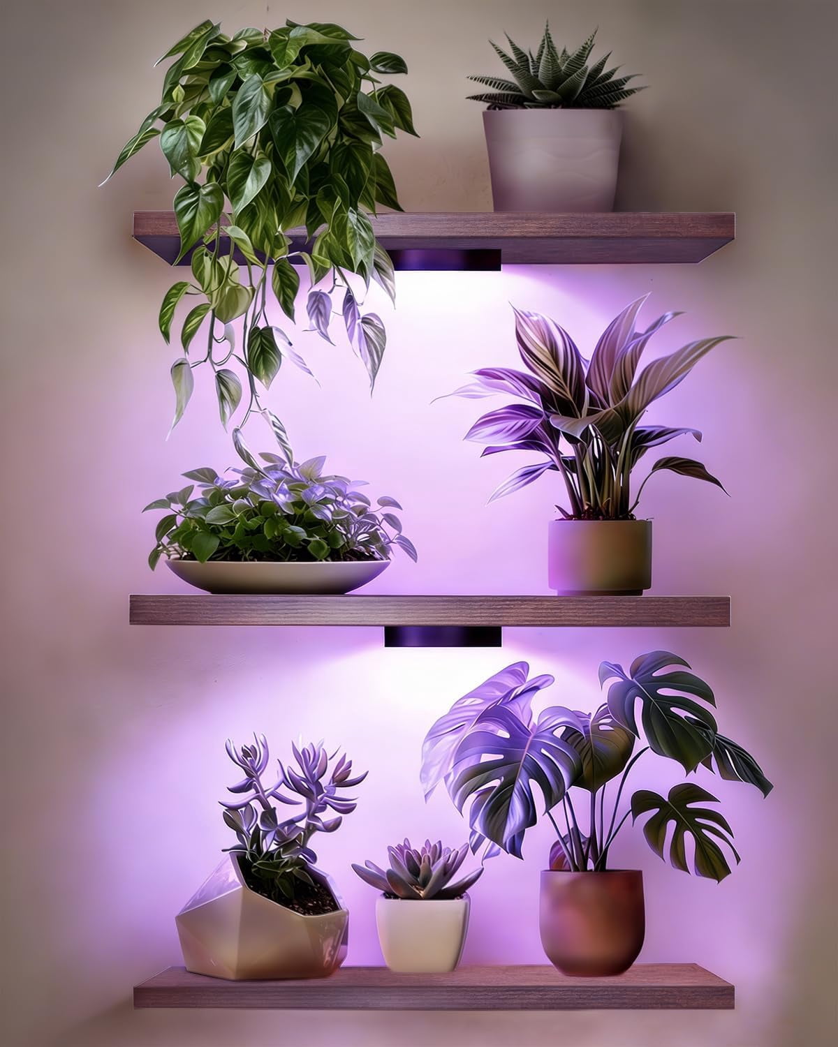 Floating Wall Shelves Set of 3 with Rechargeable Picture Lights, Wood Plant Display Shelves and Remote Control LED Lighting for Indoor Plants