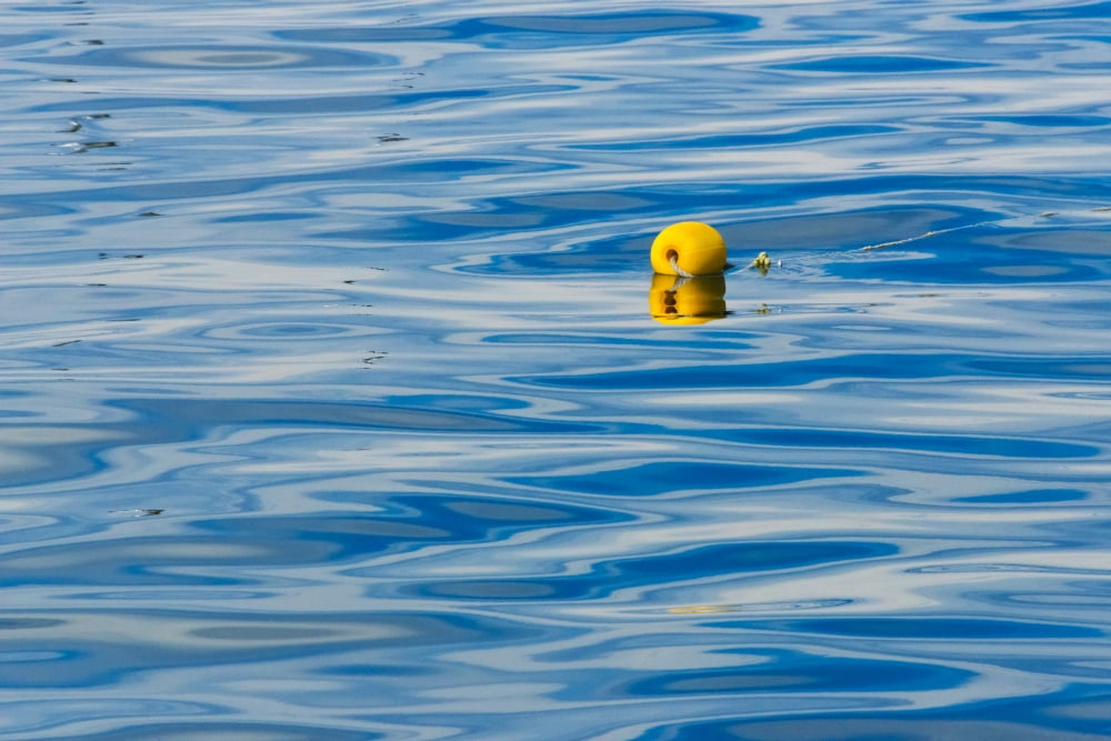 Floating buoy in the ocean, Van Dyks Bay. Western Cape Province, South