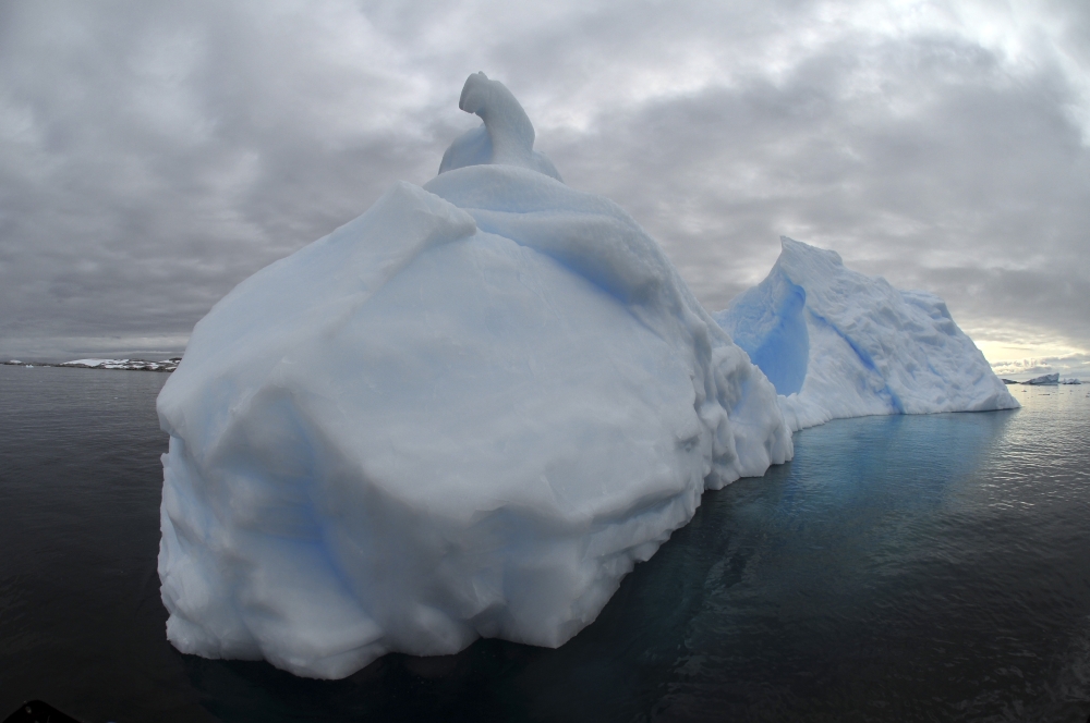 Floating iceberg with grey sky and black sea Antarctica Canvas Art - Mathieu MeurStocktrek Images (18 x 12)