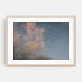 thumbnail image 1 of Flock of Birds in Ocean Beach, San Diego - San Diego California Photography Bird Silhouette Nature Skyline Scenic Minimalist Wildlife Oak Framed Wall Art Print 12 x 18 inches, 1 of 6